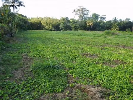 terrain 838 m² basse pointe