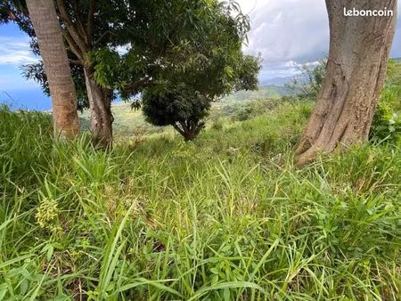 terrain 10 800 m² le morne vert