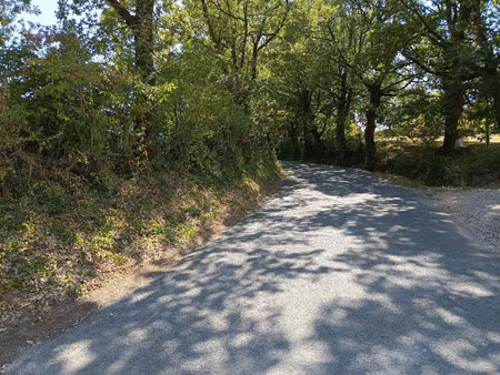vente terrain 1264 m² saïx (81710)