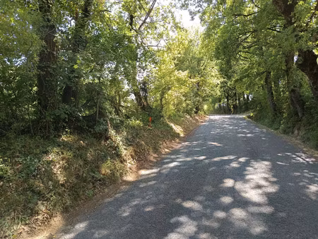vente terrain 1582 m² saïx (81710)