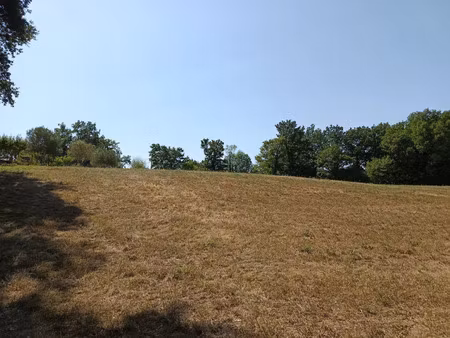 vente terrain 2029 m² saïx (81710)