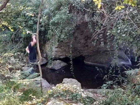 terrain de loisir forestier 1865m2