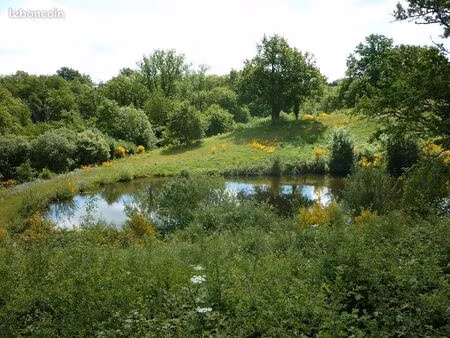 terrain avec etang riviere et bois proche montlucon