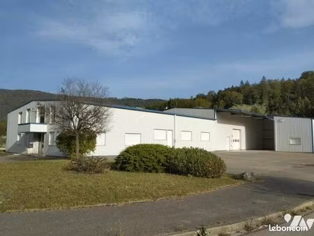 local d'activités dortan