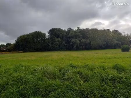 terrain 720 m² targon