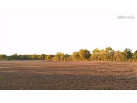 terrain 810000 m² jeu les bois