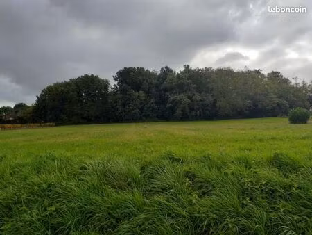 terrain 1 000 m² daignac