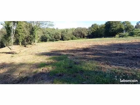 terrain constructible