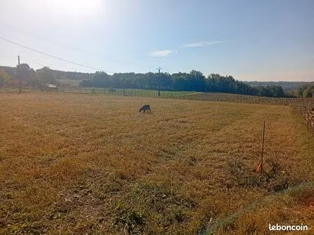 terrain constructible