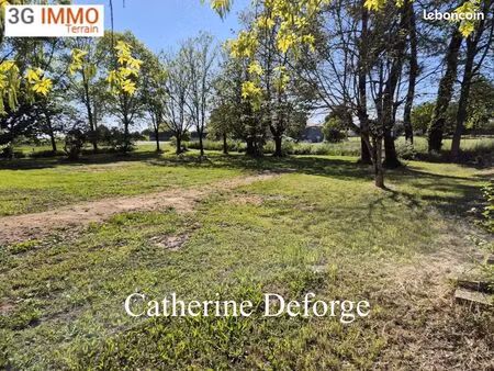 terrain 1 360 m² prignac et marcamps