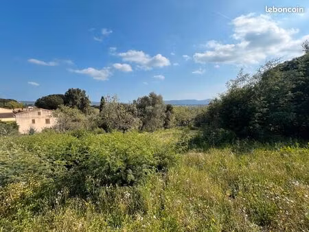 terrain 3000 m² grimaud