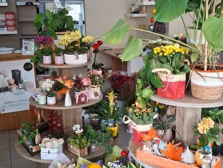 fond de commerce fleuriste