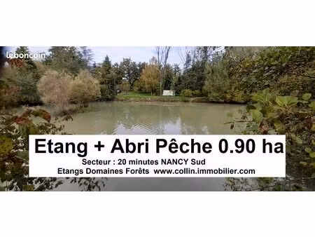 terrain 9065 m² lunéville