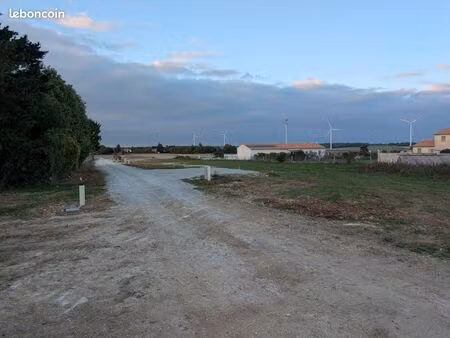 terrain constructible