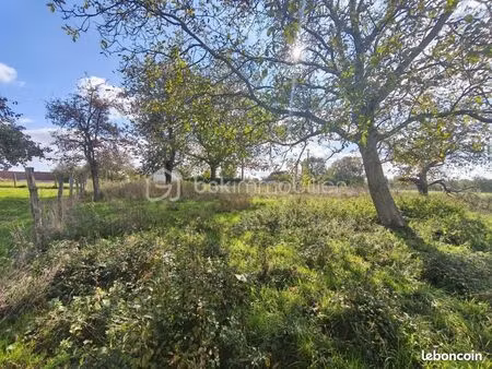 terrain 1 113 m² montmirail