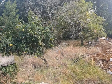 terrain 759 m² trizay