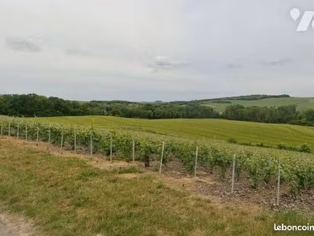 terrain 11771 m² passy grigny