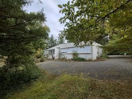 vente maison à basse-goulaine (44115) : à vendre / 217m² basse-goulaine