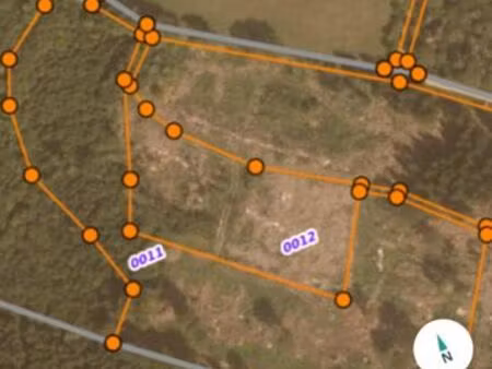 terrain boisé en épicéa