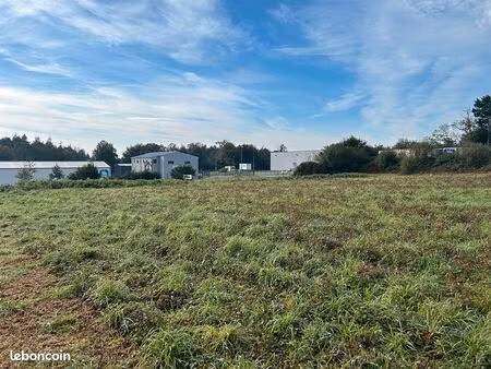 terrain 3004 m² plomelin