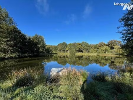 terrain 17420 m² st christophe du luat