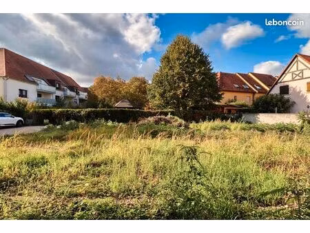 terrain 560 m² schiltigheim
