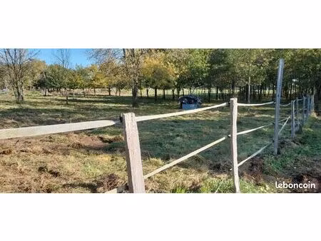 loue pres pour chevaux ou autres