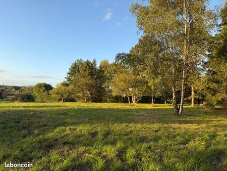 terrain constructible