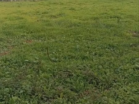 terrain constructible ardin