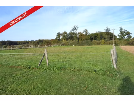 vente terrain 2250 m² à ecoyeux (17770)  45 000 €