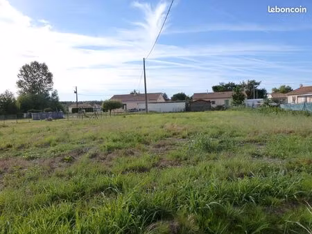 terrain constructible