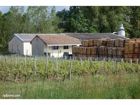 local 481 m² saint-estèphe