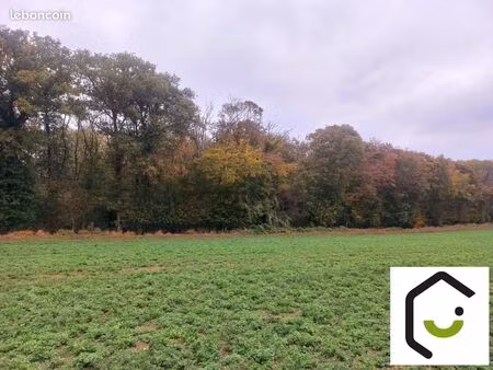 terrain 21208 m² sauvillers-mongival