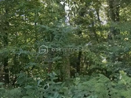 terrain de 4 033 m² à coulounieix-chamiers