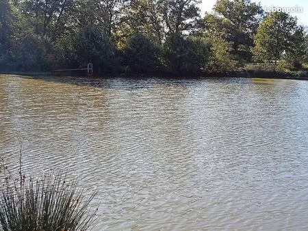 a vendre étang et terres agricoles