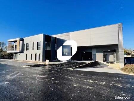 local d'activité 700 m²