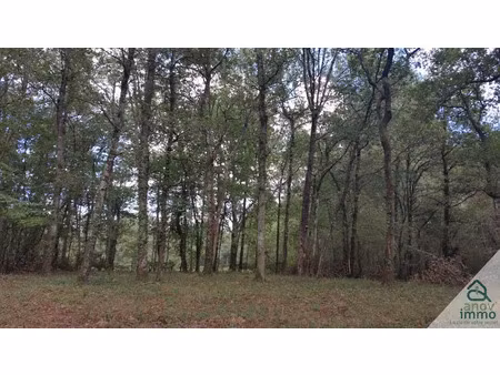 vente terrain 2608 m² à blanquefort (33290)  23 000 €