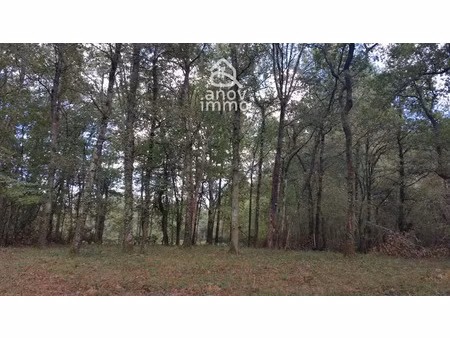 vente terrain à blanquefort (33290)  23 000 €