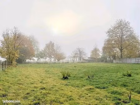 terrain 1 331 m² barastre