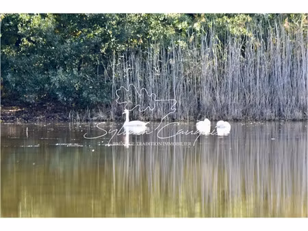 vente terrain 52175 m² à bray-en-val (45460)  169 600 €