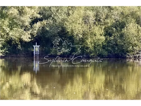 vente terrain 52175 m² à saint-martin-d'abbat (45110)  169 600 €