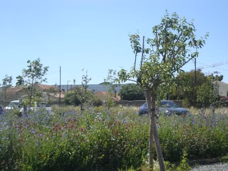 vente terrain 255 m² à hyeres (83400)  225 000 €