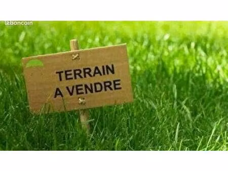 toriano tuzolana consultant megagence