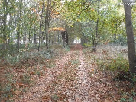 terrain agricole pâturage