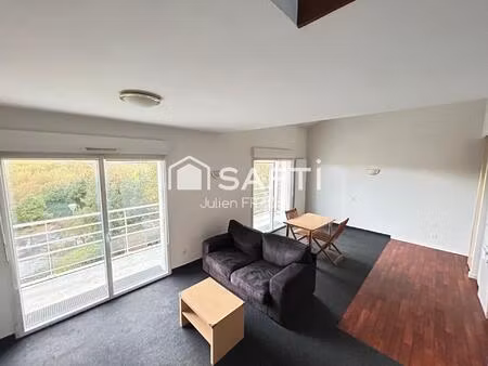 spécial investisseur - la haie-fouassière - grand appartement t2