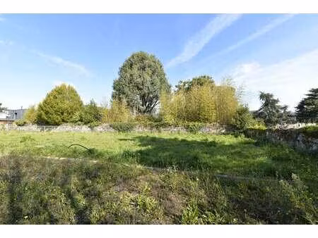 vente terrain à angers (49000) : à vendre / 312m² angers