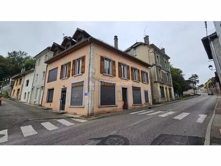 vente immeuble 11 pièces 306 m2 à le pont-de-beauvoisin