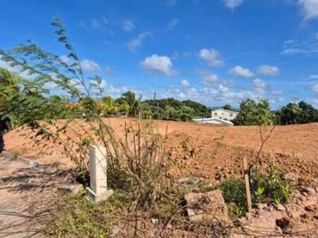 riviere-salee terrain plat a vendre  martinique