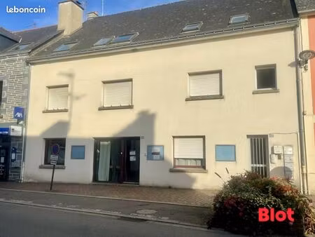 immeuble 332 m² guer