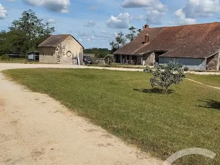 vente maison 3 pièces 45 m² à sancoins (18600)  226 000 €